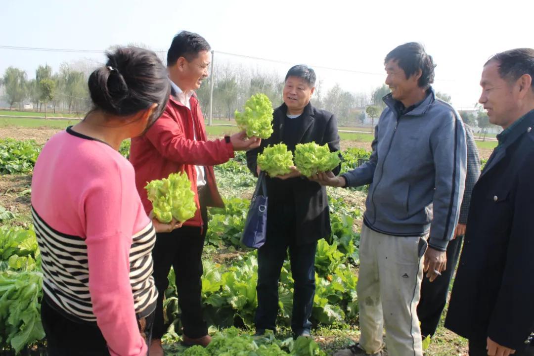 萧县检察院最新消息｜萧县检察院资讯速递