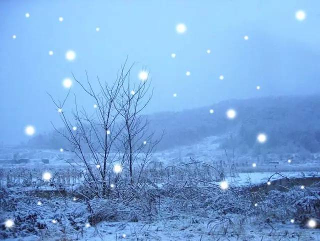 六月的飘雪：浩雪最新力作揭晓