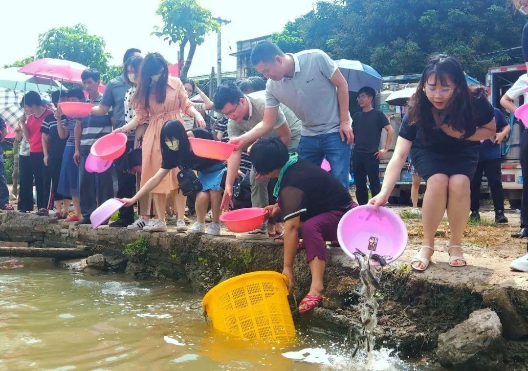 河源临江新区发展新篇章，美好未来启航记