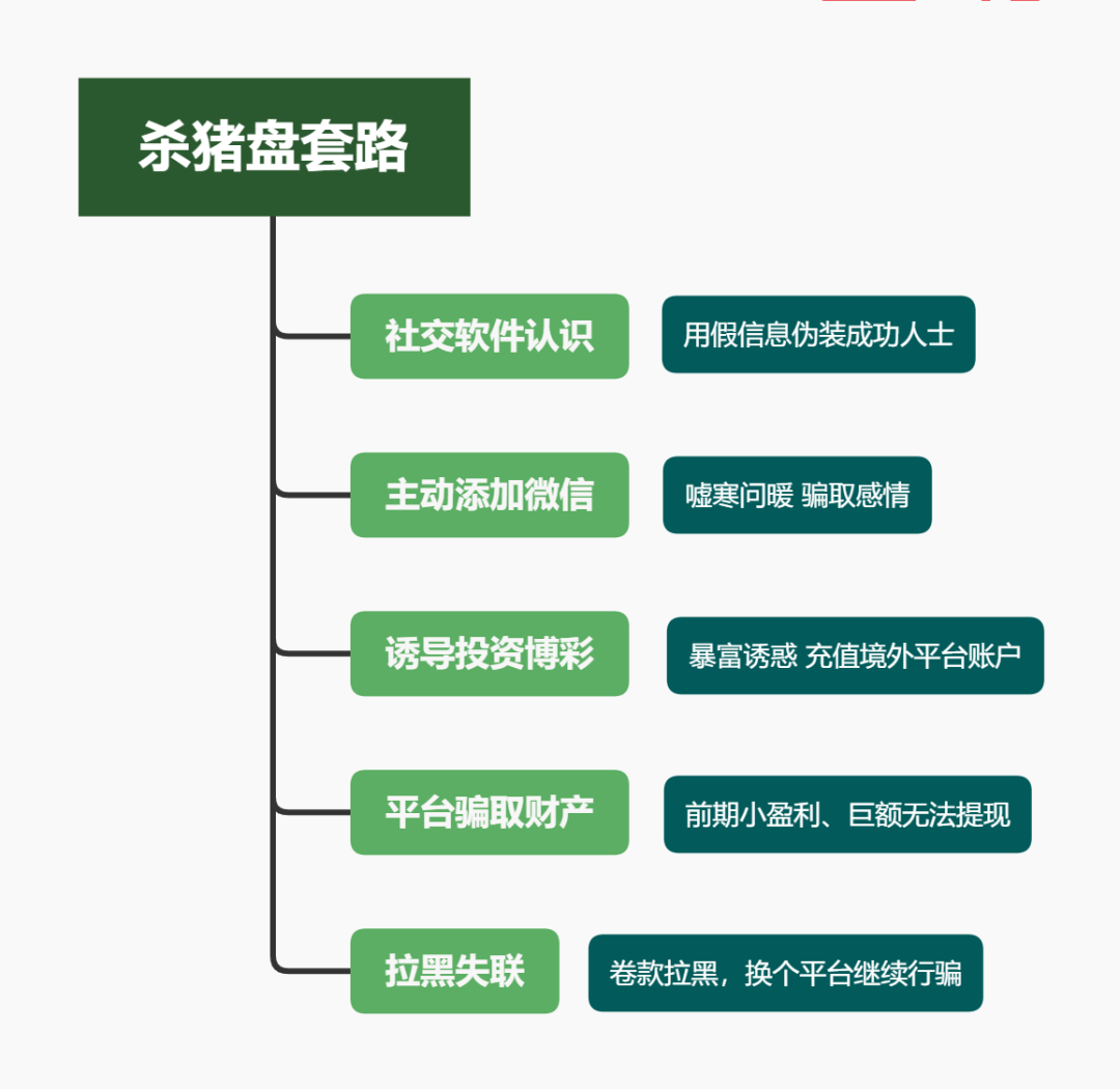 “揭秘杀猪盘成功破案，守护网络安全新篇章”