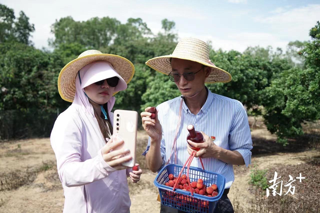 电白新鲜速递：喜讯连连，美好瞬间尽收眼底