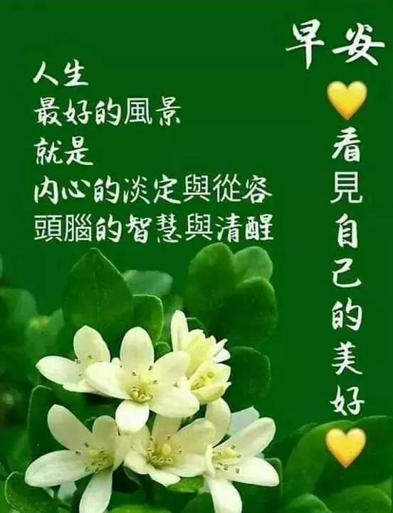 每日精选：清晨问候美图，早安阳光相伴